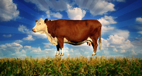 Food Inc.