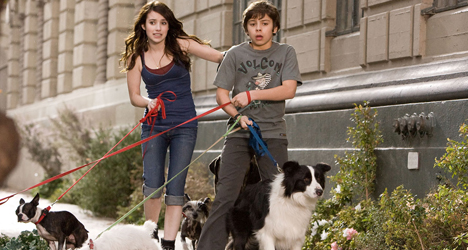 Hotel for Dogs