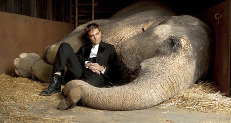 Water for Elephants