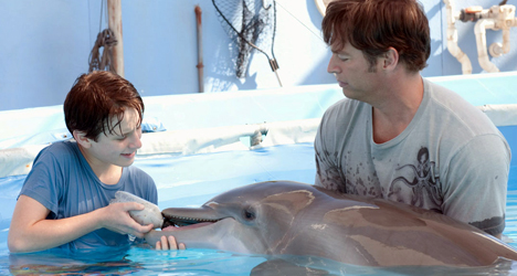 Dolphin Tale