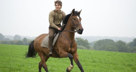 War Horse