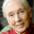 Jane Goodall – Chimpanzee
