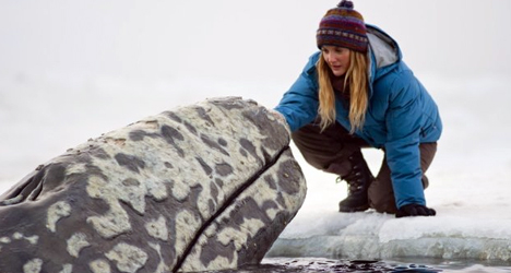 Big Miracle