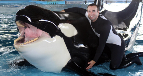 John Hargrove – Blackfish