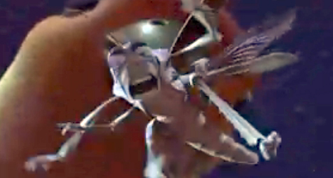 I always like my grasshoppers with a little chocolate for flavor.