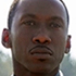 Green Book