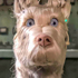 Isle of Dogs